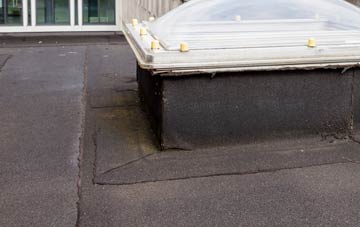 disadvantages of Luggiebank flat roofs